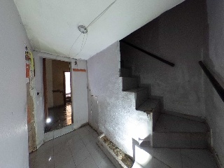 PEÑUELAS 5