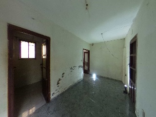 PEÑUELAS 7
