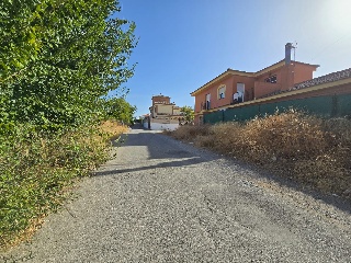 Virgen del Rocío 6