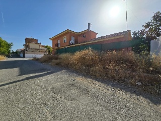Virgen del Rocío 7