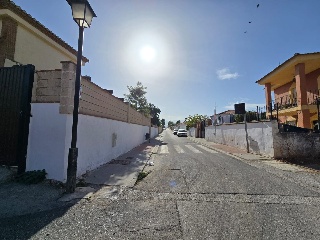 Virgen del Rocío 8