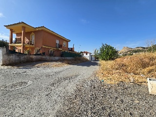 Virgen del Rocío 9