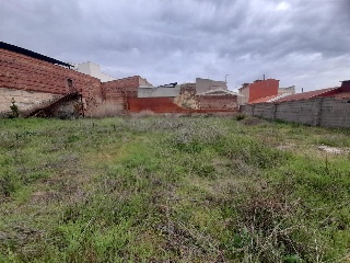 Trabajo 5