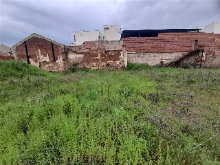 Trabajo 15