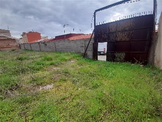 Trabajo 17