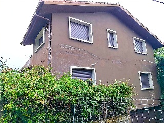 MANGOEIRO-STA.CRISTINA 2