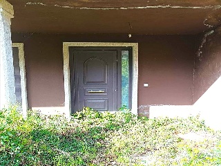 MANGOEIRO-STA.CRISTINA 7