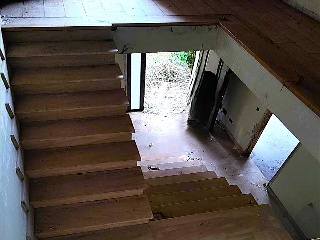 MANGOEIRO-STA.CRISTINA 10