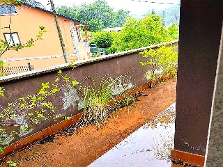 MANGOEIRO-STA.CRISTINA 22