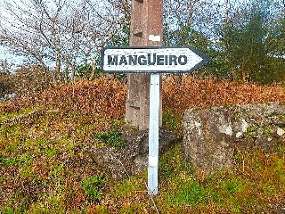 MANGOEIRO-STA.CRISTINA 25