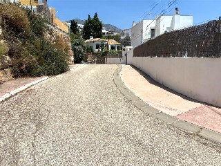 Las Palmas 24