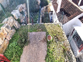 DOÑA JULIA 25