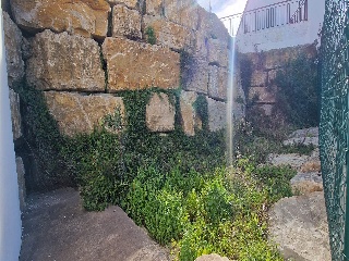 DOÑA JULIA 31