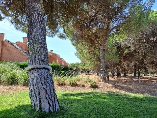 Calle Francisco Casado 6