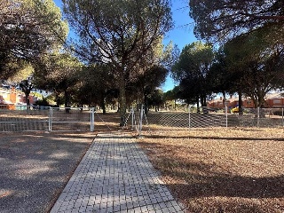 Calle Francisco Casado 8