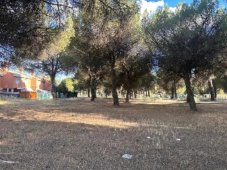 Calle Francisco Casado 12
