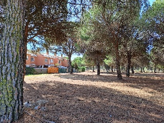 Calle Francisco Casado 15