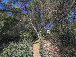 SON PARC, UE Nº 3 13