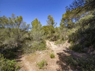 SON PARC, UE Nº 3 4