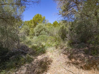 SON PARC, UE Nº 3 5