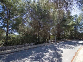 SON PARC, UE Nº 3 9