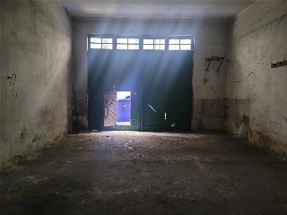 CUNTIS 4