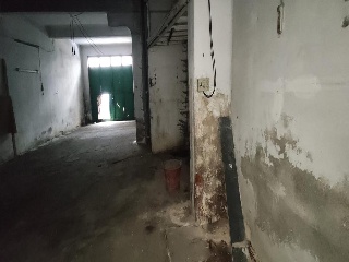 CUNTIS 7