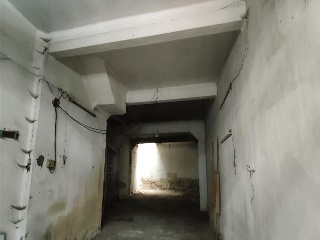 CUNTIS 11