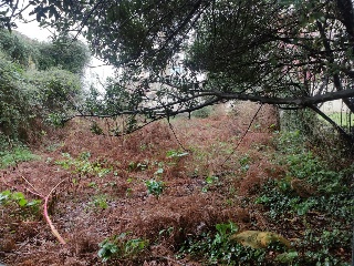Fonte Da Moureira 6