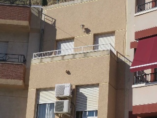 Piso en venta en Blanca de 134  m²
