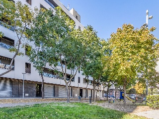 Complejo Residencial Els Gladiols Dels Elisis 18