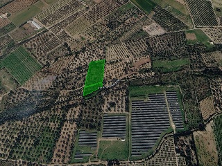 Otros en venta en Ulldecona de 8740  m²
