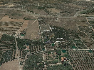 Finca rústica con edificación en Riudoms - Tarragona - 4