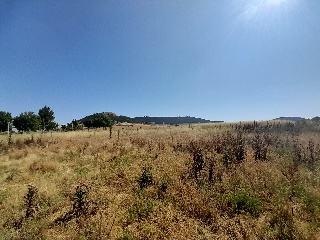 Suelos en C/ Joan Miró, Cabezón de Pisuerga (Valladolid) 10