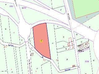 Suelo rústico y Derecho de aprovechamiento en  Partida Bovalar - Castellón - 16
