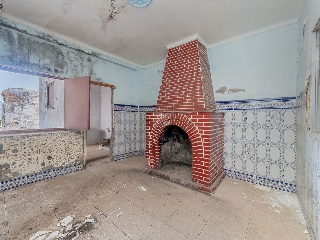 19561-0001 19