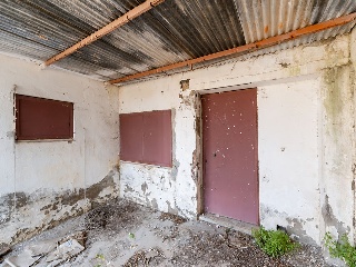 19561-0001 39