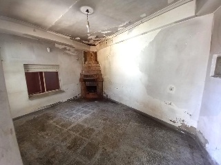 Viros Os-Nu 29