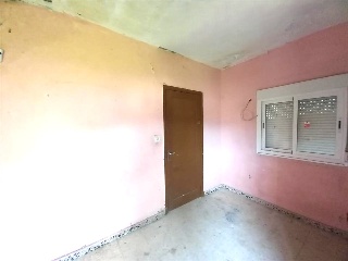 Viros Os-Nu 37