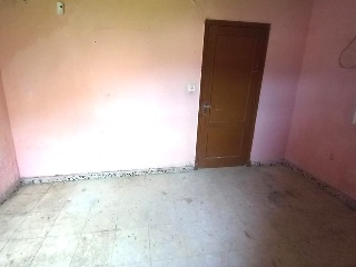 Viros Os-Nu 38