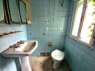 Viros Os-Nu 42