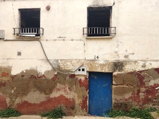 Infanzonia 15