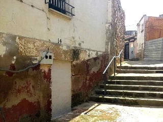 Infanzonia 16