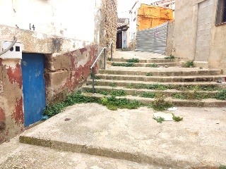 Infanzonia 17