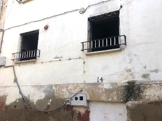 Infanzonia 19