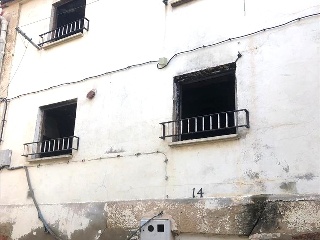 Infanzonia 20