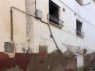 Infanzonia 21