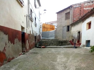 Infanzonia 22