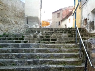 Infanzonia 23