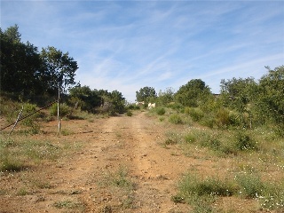 Finca Condesa 8